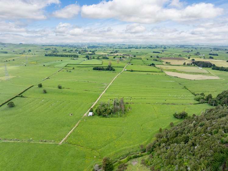 1266 Tauhei Road Morrinsville_14