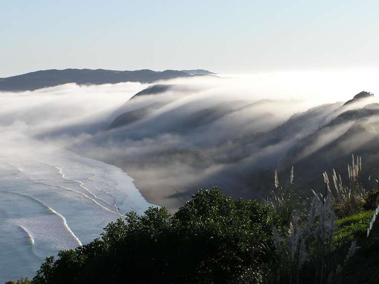 10 Earles Place Raglan_41