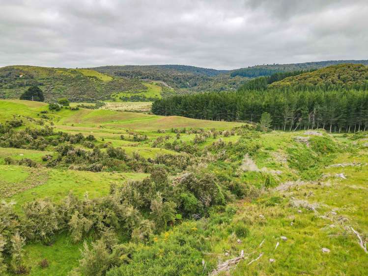 Waipati Road Chaslands_5