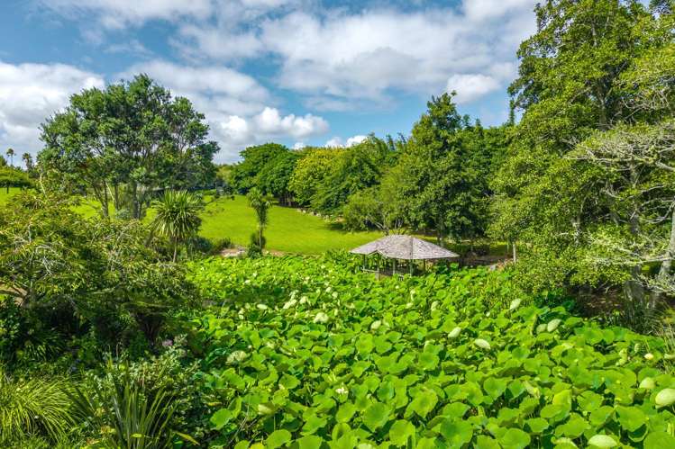 247 Broomfields Road Whitford_34