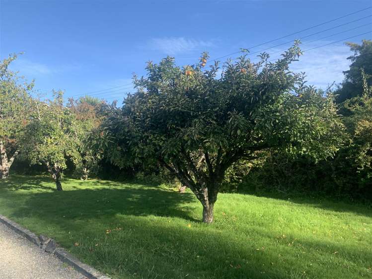 3232 State Highway 2 Carterton_9