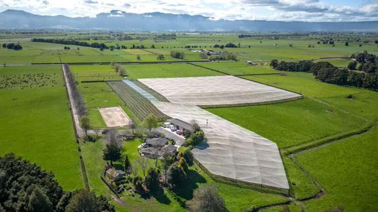 5932 State Highway 27 Ngarua_1