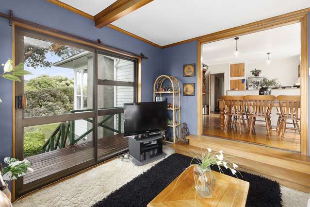 58 Fox Street Ngaio_2