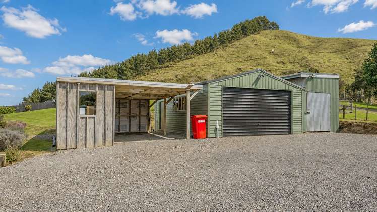 76 Packtrack Road Thames_21