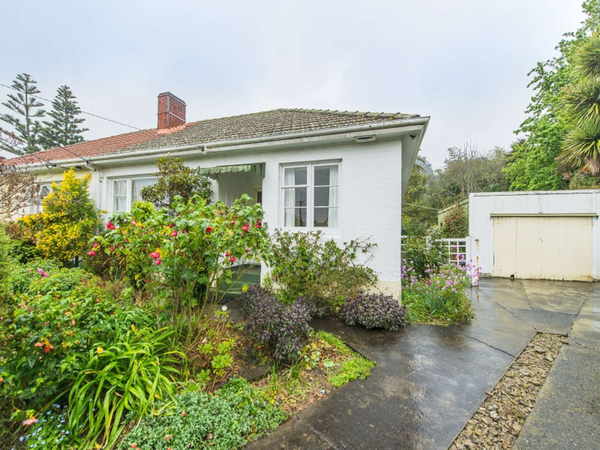 16 Clapham Place Wanganui East_0