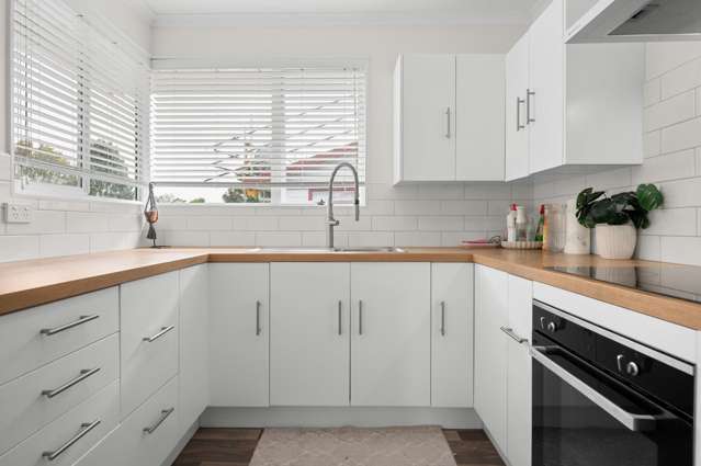 22 Metro Avenue Nawton_1