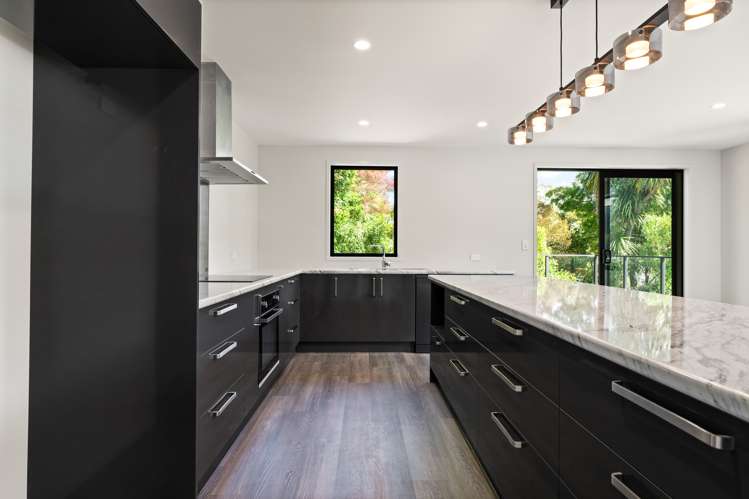 540 North Road Normanby_7