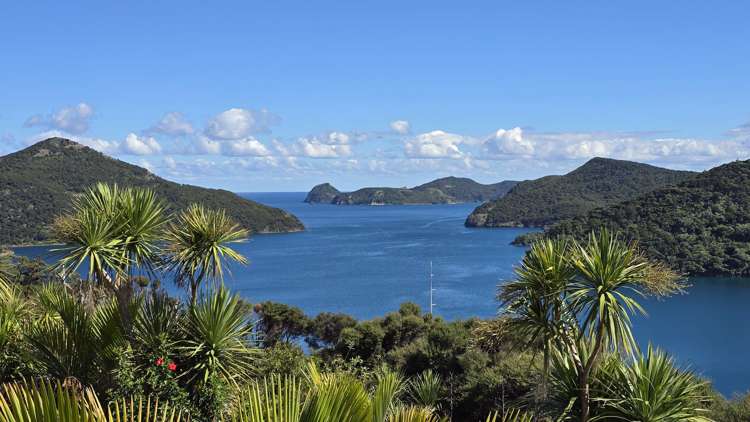 205 Kaiaraara Bay Road Great Barrier Island (Tryphena)_27