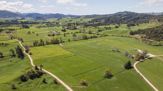 Large Scale Premium Tasman Dairy