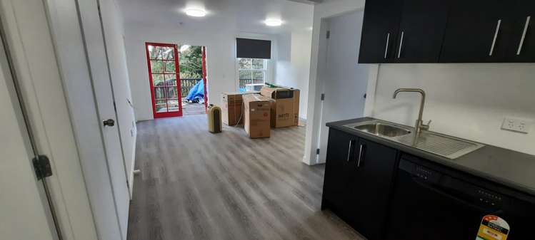 31 Devon Street Aro Valley_18