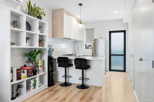 33c Murphys Park Drive Flat Bush_1