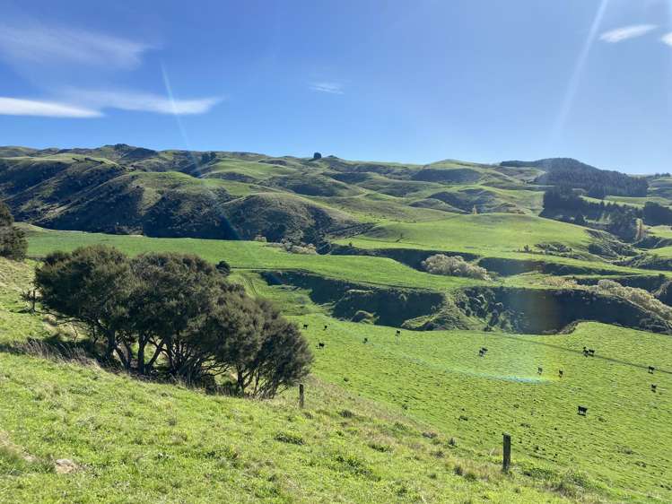 48 Heathfield Road Waipara_16