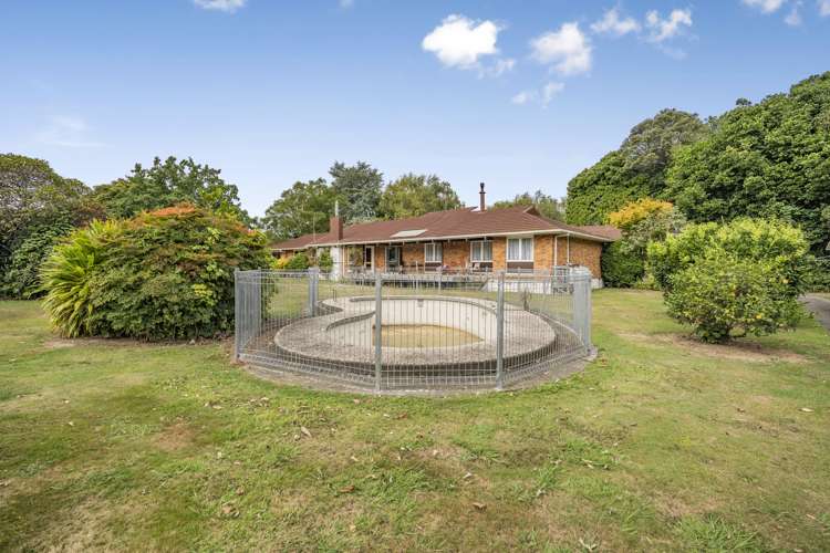 110 Roslyn Road Levin_4