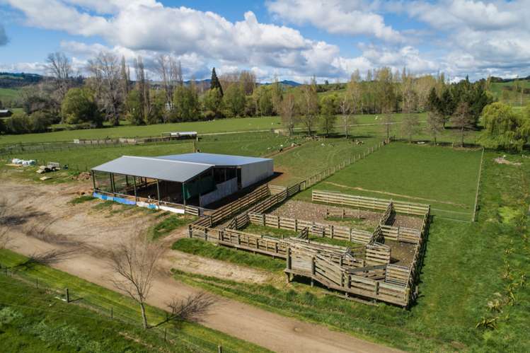 557 Tadmor-Bushend Road Tapawera_11