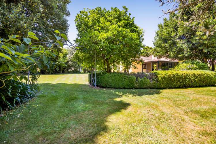 76 Wills Road Bell Block_31