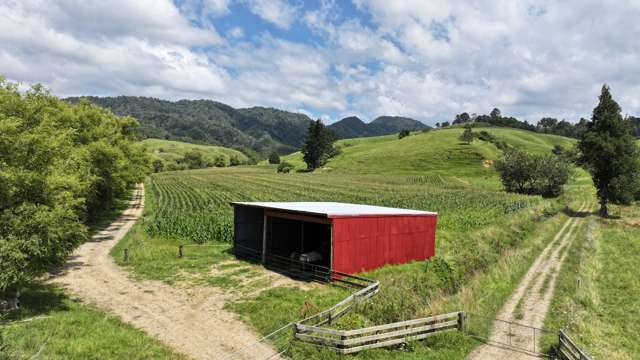 636 Otara Road Opotiki_2