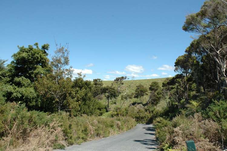 6 Cape Rodney Place Mangawhai Heads_4