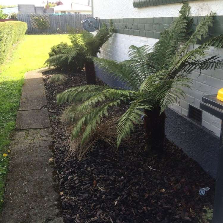 43 Forth Street Mosgiel_18