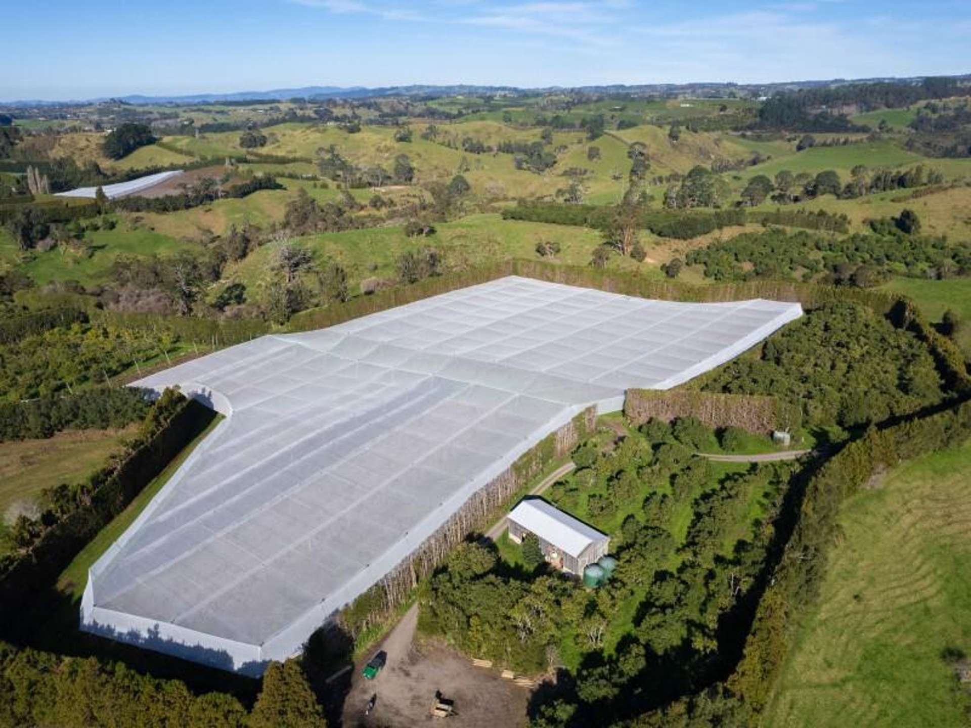 229 Walford Road Katikati_0