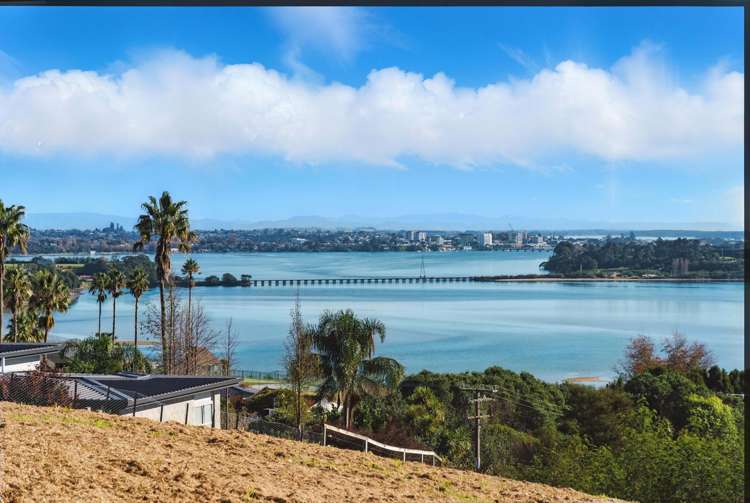 2 Ranginui Loop Road_4