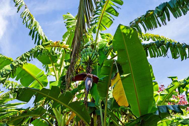 361 Matapouri Road Tutukaka_31