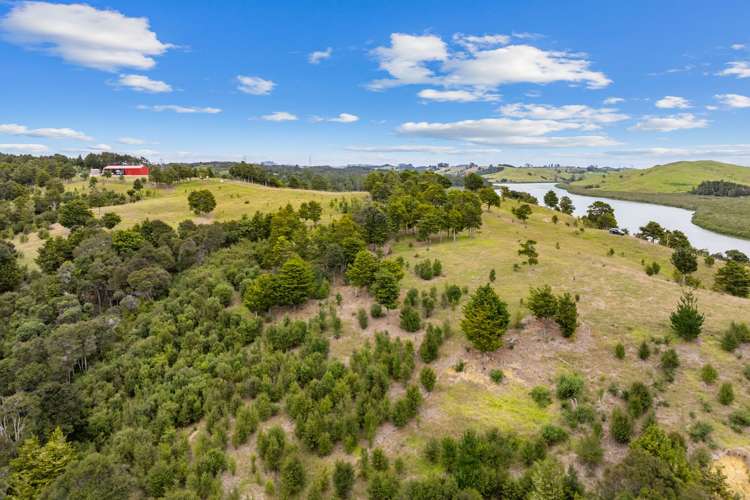 Lot 2 Waimanu Road Wellsford_19