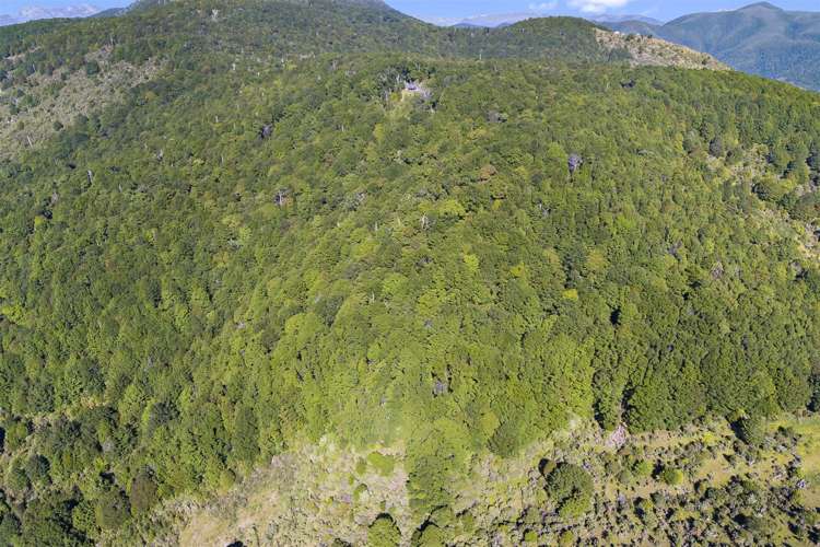 Brooklyn Valley Road Motueka_13