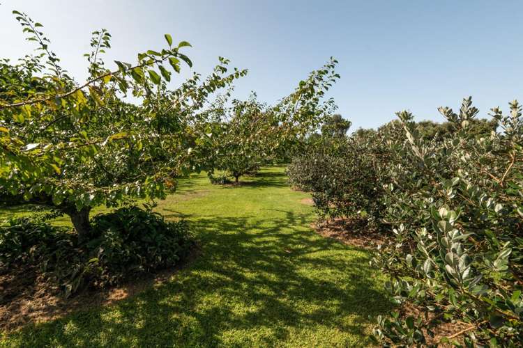 10A Bridgman Lane, Tanners Point Katikati_38