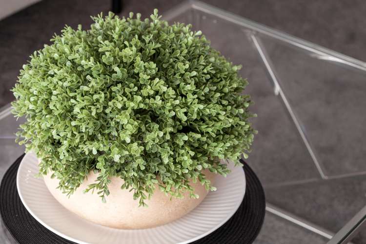 4/7 Gambia Street Papanui_5