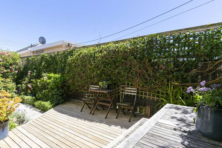 26a Hobart Street Miramar_17