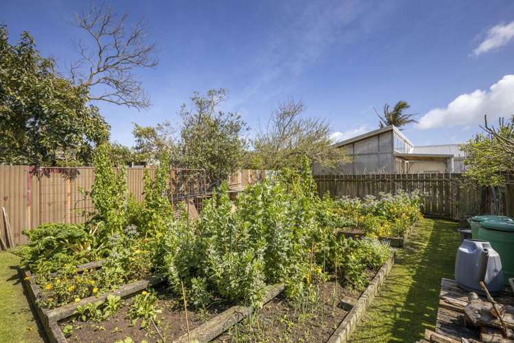 5 Harris Street Waitara_5