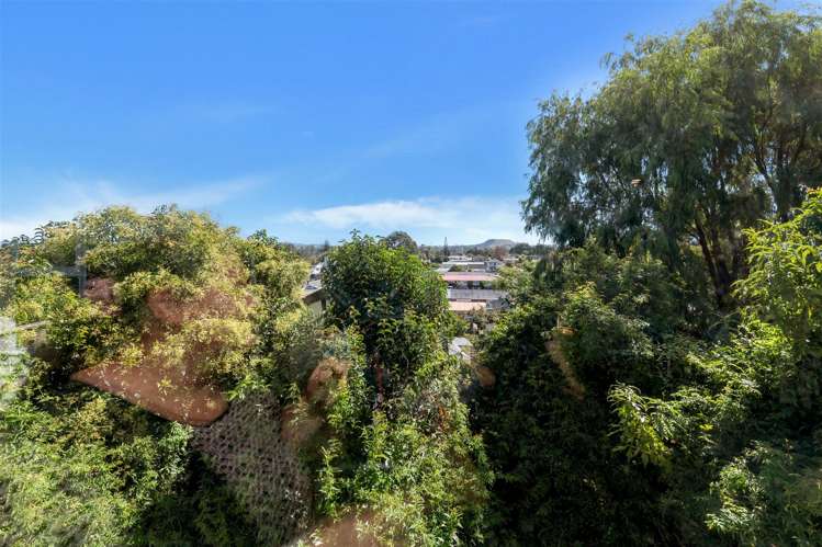 146 Ti Rakau Drive Pakuranga_20