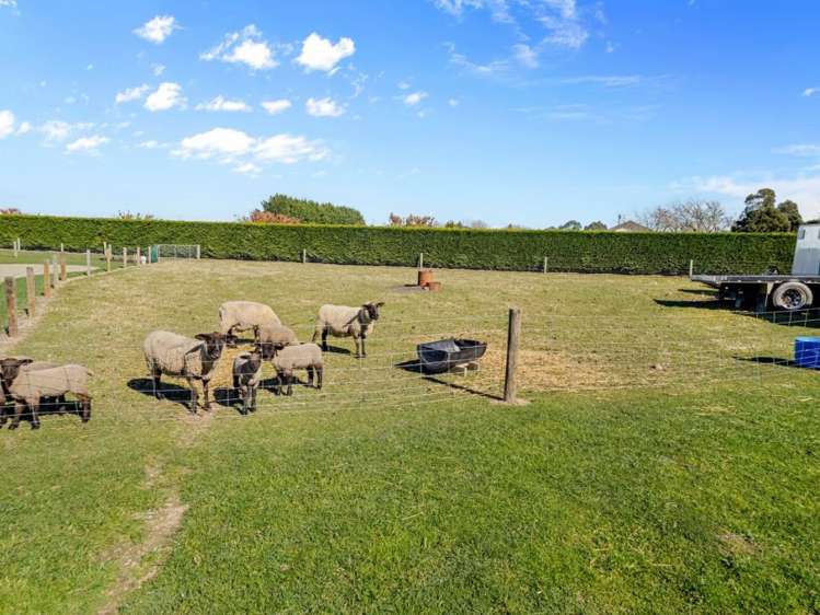72 Murdochs Road Newland_20