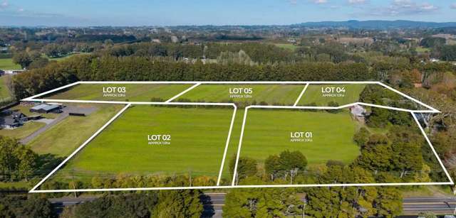 Lot 3 Kowhai Estate Kumeu_4