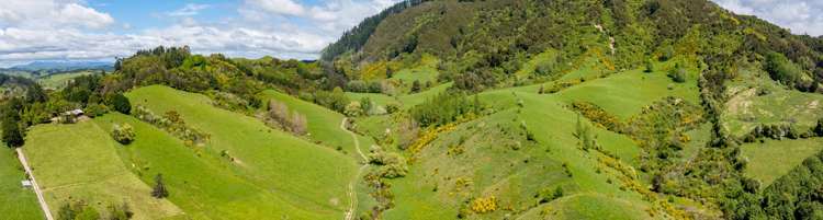 98 Thorpe-Orinoco Road Ngatimoti_1