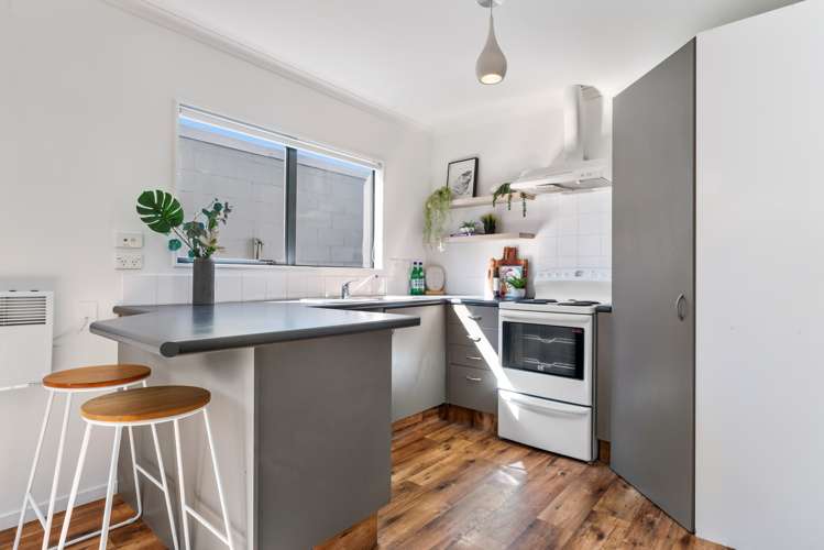 119b Links Avenue Mount Maunganui_9