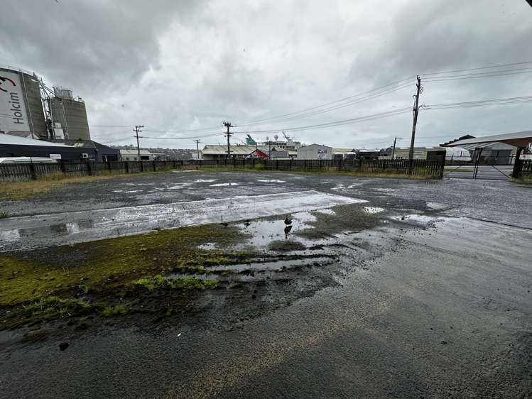 17-19 Mason Street Dunedin Central_8