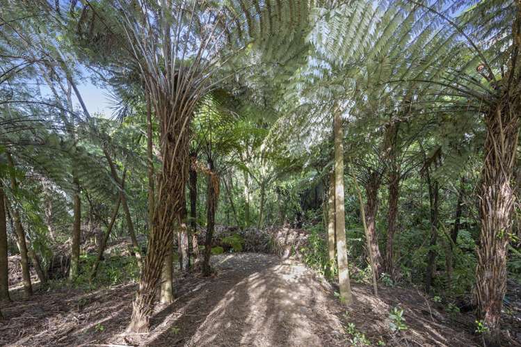 149K Glengarry Road Glen Eden_39