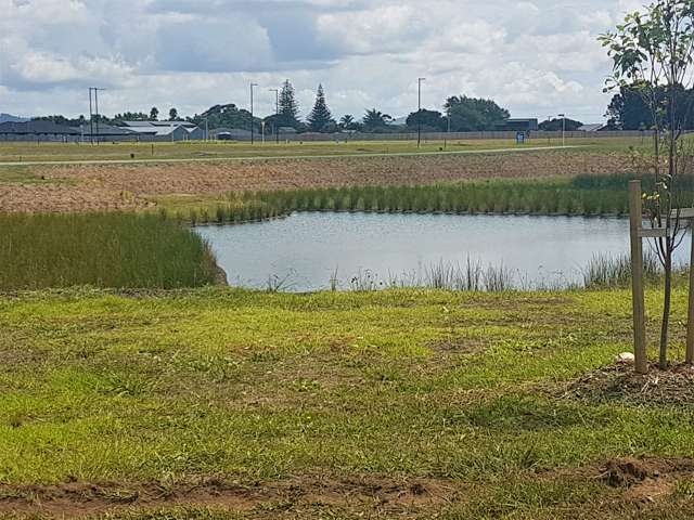 Kaurinui Crescent One Tree Point_2