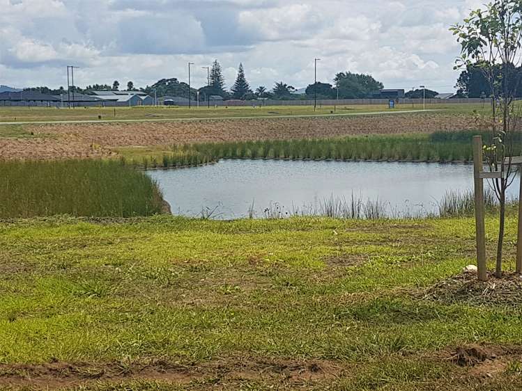 Kaurinui Crescent One Tree Point_2