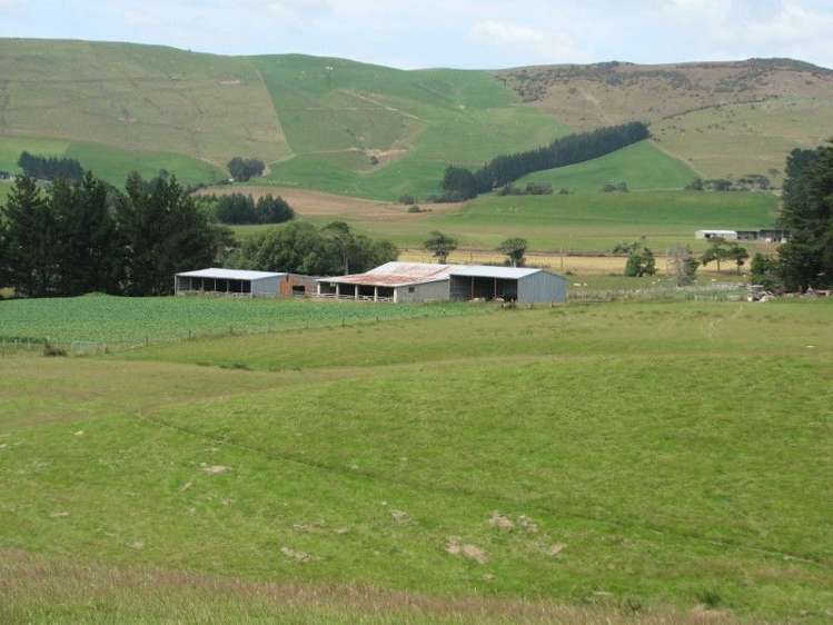 544 Owaka Valley Road Catlins Surrounds_0