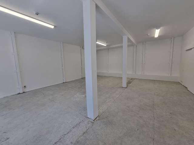 1/103 Victoria Street Te Aro_2