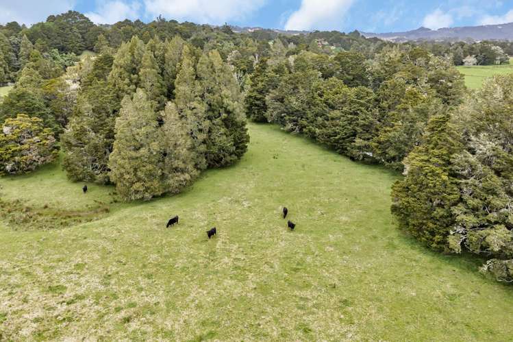 Lot 1, 106 Totara Park Lane Glenbervie_16