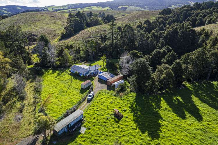 393 Katui Road Donnellys Crossing_21