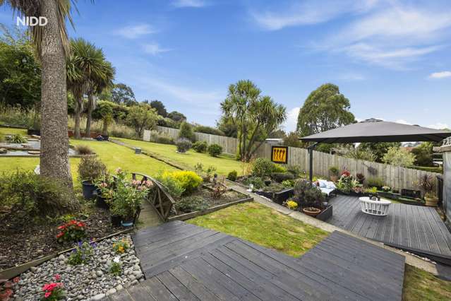 293 Main South Road Green Island_2
