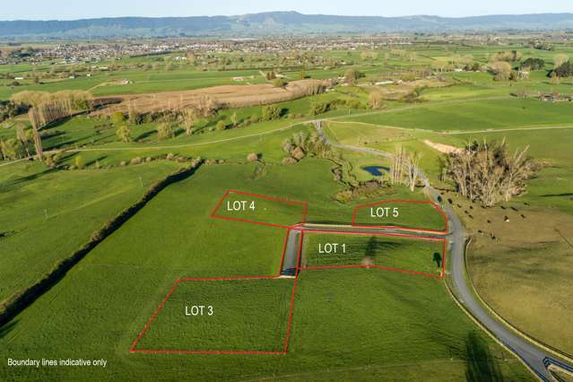 48 Country Lane Matamata_1