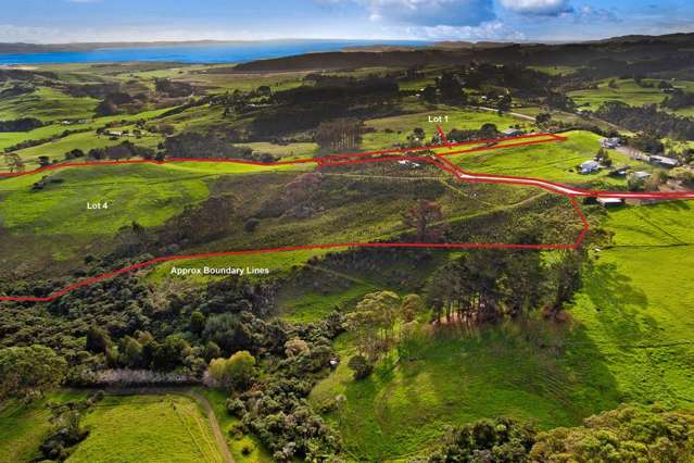 Lot 1/1625 Kaipara Coast Highway Kaukapakapa_3