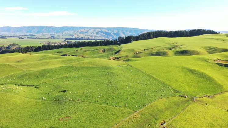 2029 Matapiro Road Crownthorpe_20