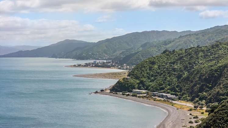 525 Muritai Road Pencarrow Head_22