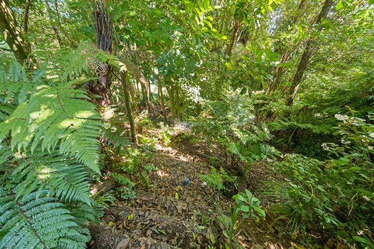 91 Manu Crescent Upper Vogeltown_30